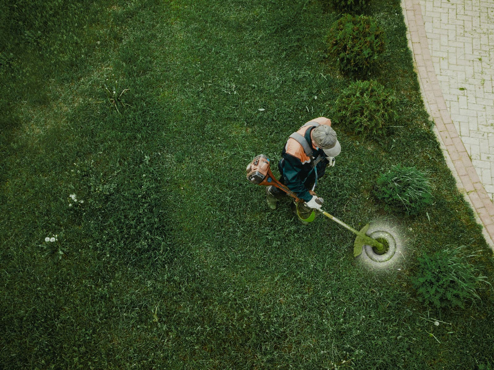 Manicured shrubs beside a maintained lawn