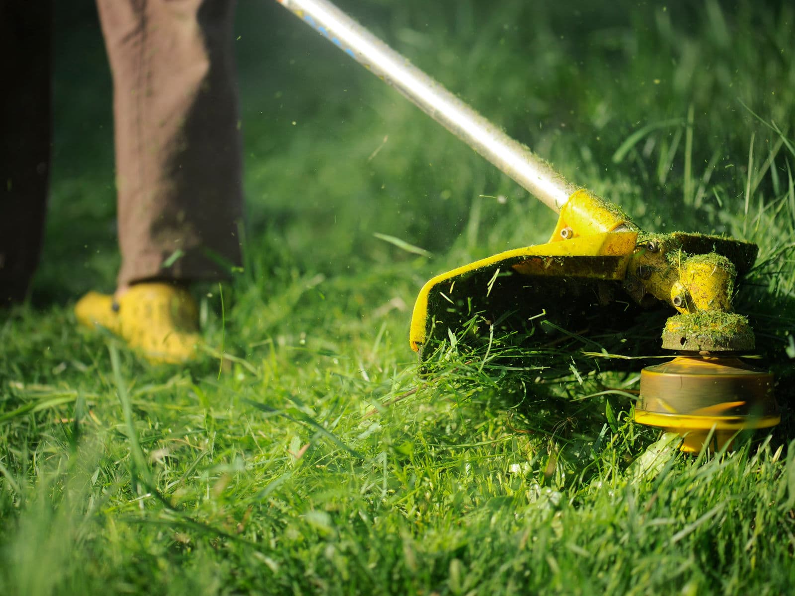 Weed eating tall grass with a string trimmer